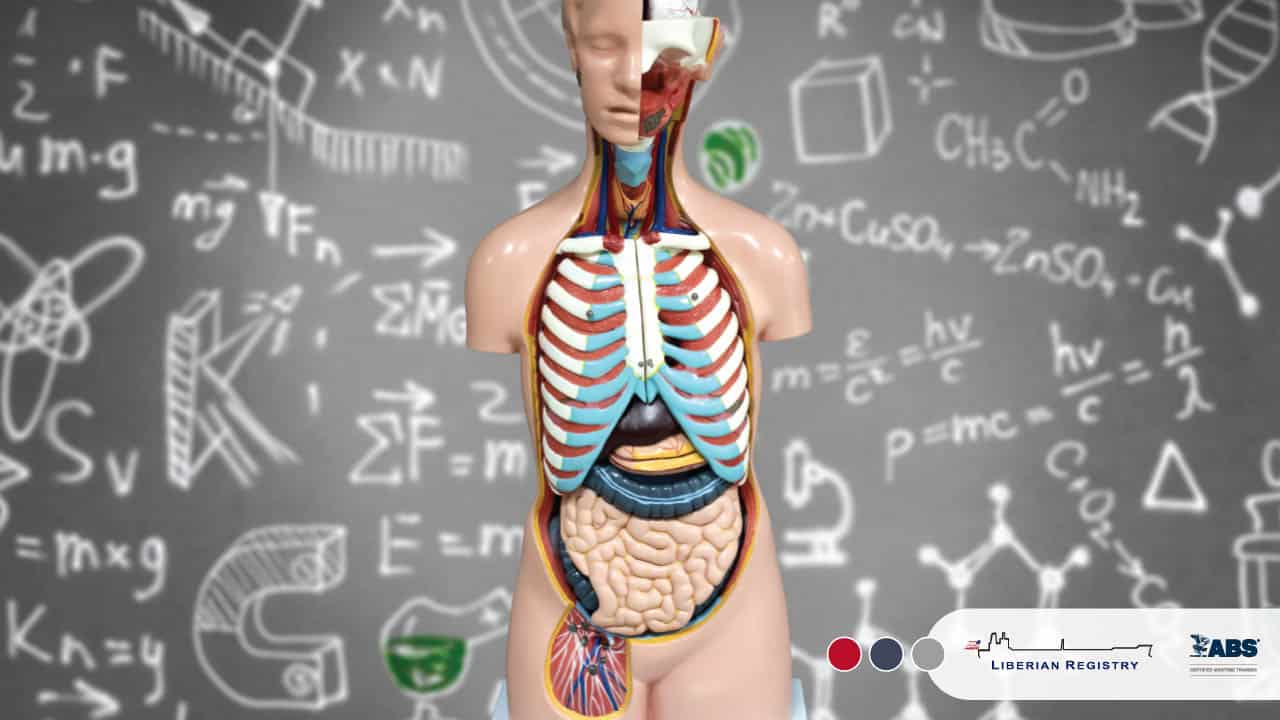 Structure-Function-of-the-Human-Body