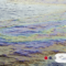 pollution-response